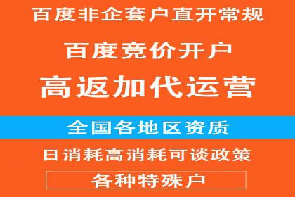 百度竞价赚钱的实战案例分析
